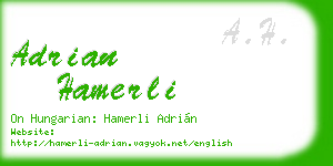 adrian hamerli business card