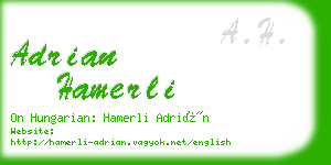 adrian hamerli business card